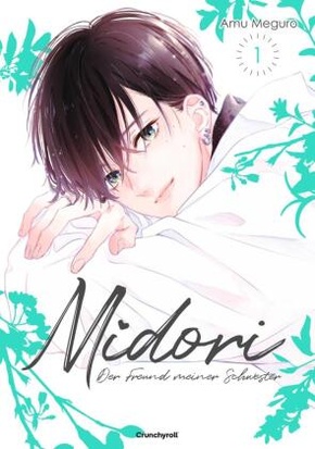 Midori - Der Freund meiner Schwester - Band 1