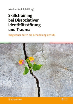 Skillstraining bei Dissoziativer Identitätsstörung und Trauma