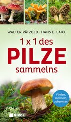 1 x 1 des Pilzesammelns