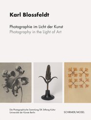 Photographie im Licht der Kunst / Photography in the Light of Art