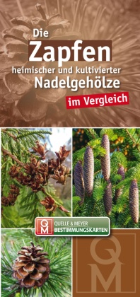 Die Zapfen heimischer und kultivierter Nadelgehölze im Vergleich