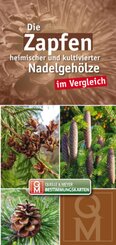 Die Zapfen heimischer und kultivierter Nadelgeh&ouml;lze im Vergleich