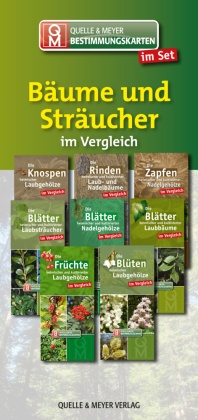 Bestimmungskarten-Set "Bäume und Sträucher", 8 Teile