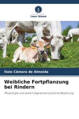 Weibliche Fortpflanzung bei Rindern