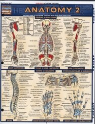 Anatomy 2 - Reference Guide (8.5 x 11)