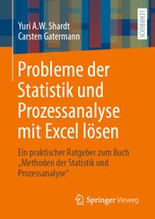 Probleme der Statistik und Prozessanalyse mit Excel lösen