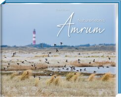 Naturerlebnis Amrum