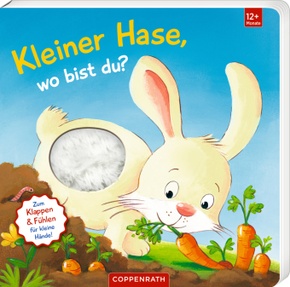 Mein erstes Guckloch-Fühlbuch: Kleiner Hase, wo bist du?