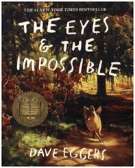 The Eyes & the Impossible