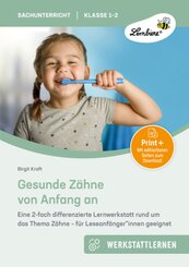 Gesunde Z&auml;hne von Anfang an