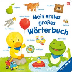 Mein erstes großes Wörterbuch