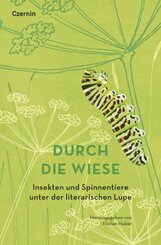 Durch die Wiese