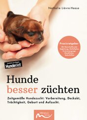 Hunde besser züchten