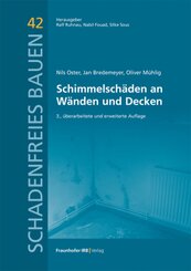 Schimmelschäden an Wänden und Decken