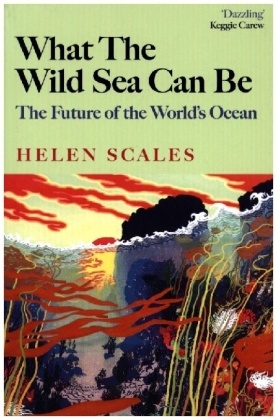 What the Wild Sea Can Be