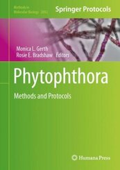 Phytophthora