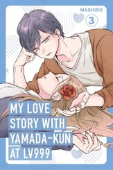 My Love Story with Yamada-kun at Lv999, Vol. 3