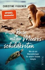 Meine Reise mit den Meeresschildkröten