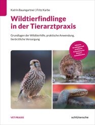 Wildtierfindlinge in der Tierarztpraxis