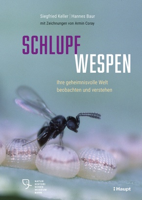 Schlupfwespen