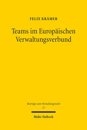 Teams im Europäischen Verwaltungsverbund