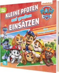 PAW Patrol Geschichtenbuch