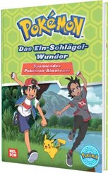 Pokémon Lesebuch