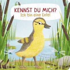 Kennst du mich? Ich bin eine Ente!