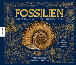 Fossilien - Schätze von Ammoniten bis zum T. Rex