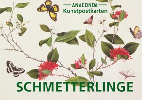 Postkarten-Set Schmetterlinge