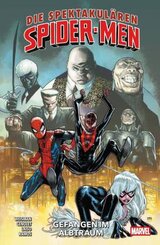 Die spektakulären Spider-Men