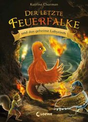 Der letzte Feuerfalke und das geheime Labyrinth