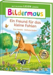 Bildermaus - Ein Freund für das kleine Fohlen