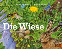 Die Wiese