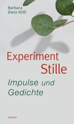 Experiment Stille