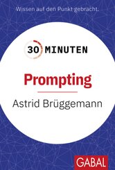 30 Minuten Prompting