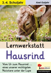 Lernwerkstatt Hausrind