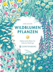 Wildblumen pflanzen