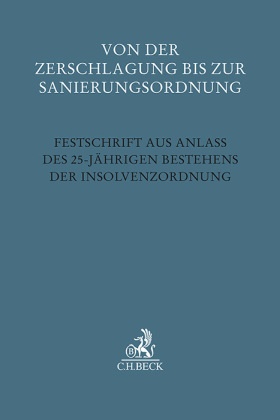 Von der Zerschlagung bis zur Sanierungsordnung