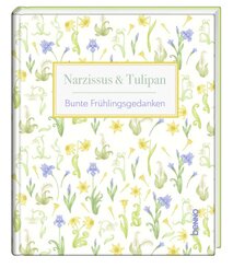 Narzissus & Tulipan