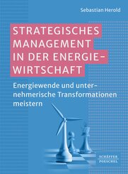 Strategisches Management in der Energiewirtschaft