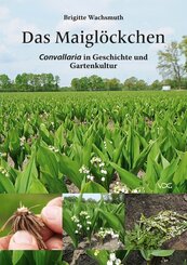 Das Maigl&ouml;ckchen