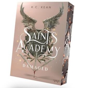 Saints Academy - Damaged