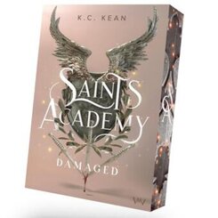 Saints Academy - Damaged