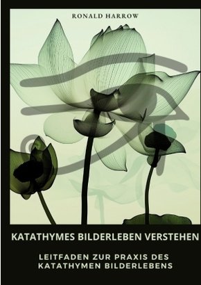 Katathymes Bilderleben  verstehen