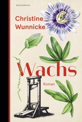 Wachs