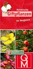 Heimische Giftpflanzen im Vergleich