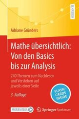 Mathe &uuml;bersichtlich: Von den Basics bis zur Analysis