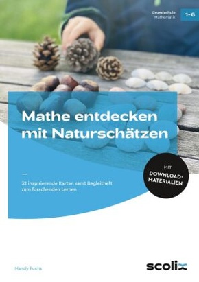 Mathe entdecken mit Naturschätzen, m. 1 Beilage