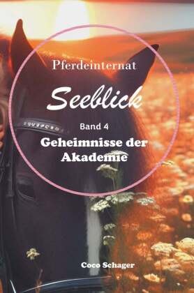 Pferdeinternat Seeblick Band 4